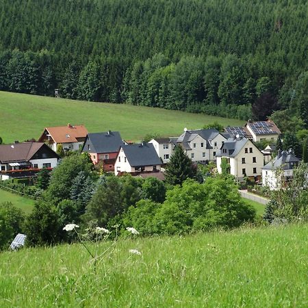 Ferienwohnung "Am Vaterlandsgrubenweg" Oelsnitz  Dış mekan fotoğraf